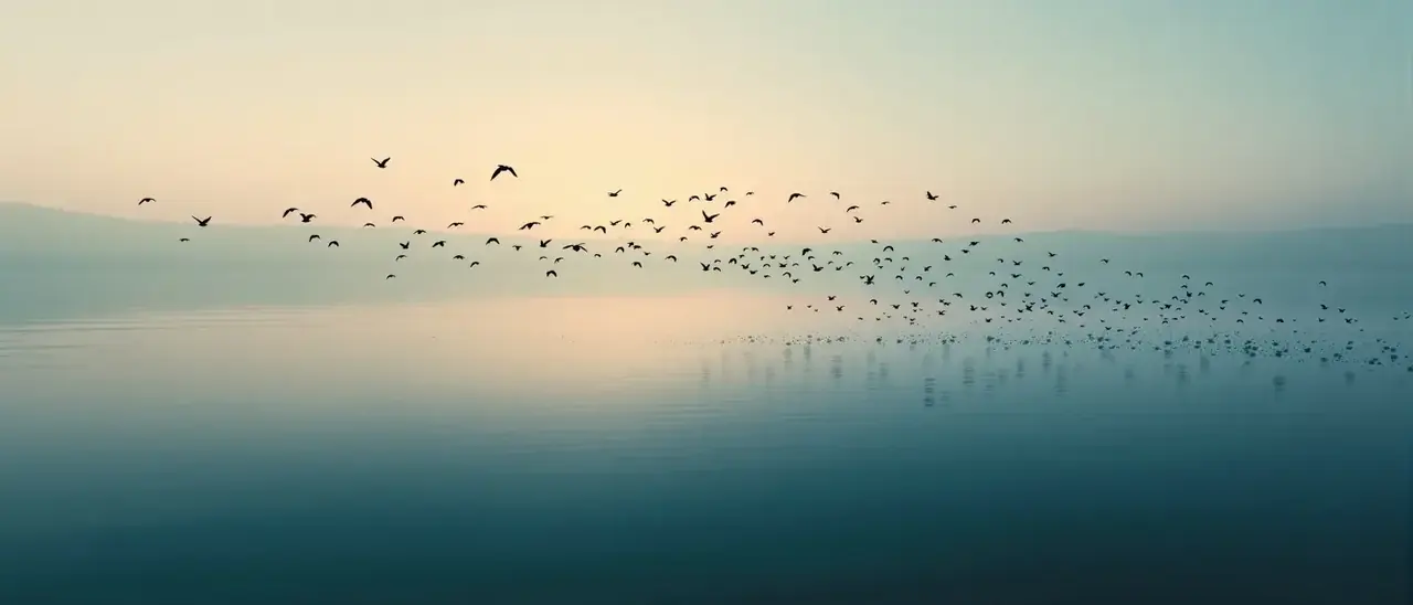 亚洲第一黄色视频应用下载背景